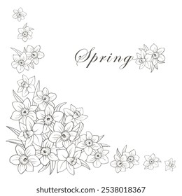 Corner frame of narcissus flowers isolated on white. Daffodils hand drawing line sketch, outline composition of many buds and leaves. Vector clipart for spring floral design, wedding or greeting card.