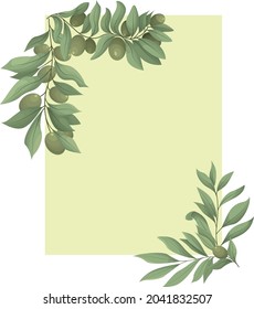 El marco de la esquina es una rama de olivo con hojas y aceitunas frescas. Ilustración vectorial aislada en un fondo blanco.