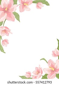 Corner frame template with sakura magnolia hellebore flowers on white background. Vertical portrait orientation. Vector design illustration floral garland element for decoration, card, invitation.