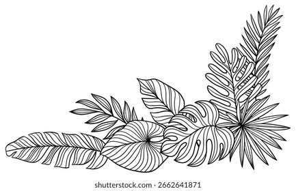 Esquina con hojas lineales de palma. Imagen decorativa de follaje tropical y plantas.