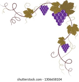 Corner with ornament Vine 