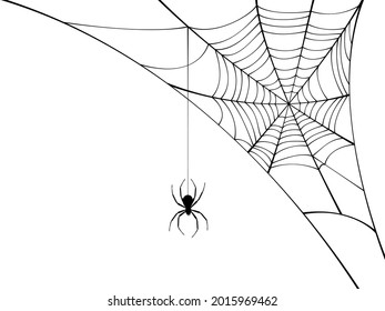 Corner spider web with black spider.