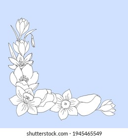 Marco de patrón de esquina para un diseño festivo a partir de un ramo de flores narciso, tulipán, crocus, nevada. Dibujo con un contorno negro con un relleno blanco sobre un fondo azul. 