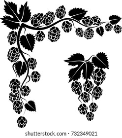 corner and twig with hop cones