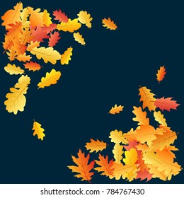 Corners of bright oak leaf vector frame or border illustration with dark blue background. Autumn foliage, seasonal image. Red, yellow, orange and brown dry oak tree leaves background pattern.