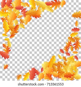 Corners of oak leaf vector frame or border illustration with transparent background. Autumn foliage, seasonal image. Red, yellow, orange and brown dry oak tree leaves background pattern.