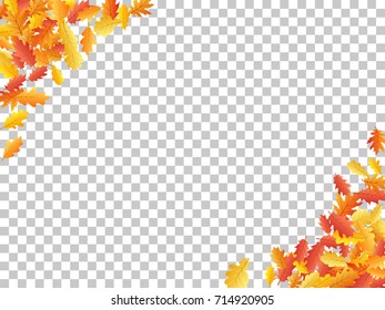 Corners of oak leaf vector frame or border illustration with transparent background. Autumn foliage, seasonal image. Red, yellow, orange and brown dry oak tree leaves background pattern.