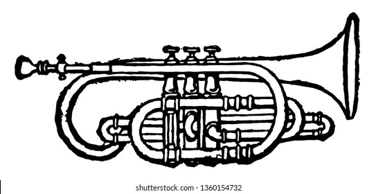 Cornet is a treble wind instrument made of brass, vintage line drawing or engraving illustration.