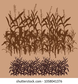 cornfield farm harvest vintage colour monochrome background vector illustration