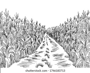 Cornfield road graphic black white landscape sketch illustration vector