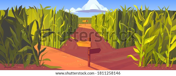 Cornfield with wooden road pointers and high\
green plant stems. Choice of way concept. Landscape with signposts\
pointing on paths fork. Labyrinth, maze, choosing direction,\
Cartoon vector\
illustration