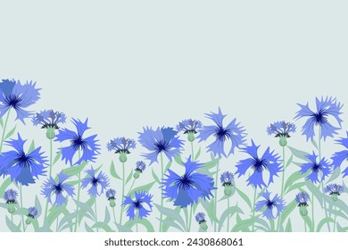 Cornflower background border frame.  German National flower emblem vector illustration. 