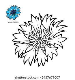 Cornflower - Black Outline For Coloring Pages Vector Design Illustration 