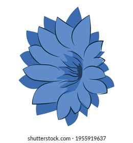 cornflower blue flower, field plant, weed