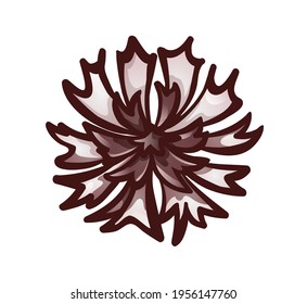 Cornflower bud, top view. Monochrome icon in brown colors with outline, vector illustration isolated on white, object for design