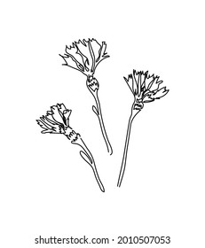 Flor de maíz, flor de clavel arte de una línea. Dibujo continuo de plantas, hierbas, flores, flores, flores naturales, flora y flores silvestres.
