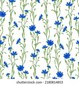 El vector del campo de flor de maíz es un patrón sin fisuras. Flor de pradera salvaje de verano, textura de planta de miel. Fondo azul de Knapweed. Diseño floral botánico Centaurea para textiles, tejidos, envolturas