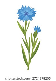 Flor de córnea. Clipart de vetor plano, ilustração com plano de fundo isolado.