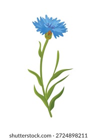 Flor de córnea. Clipart de vetor plano, ilustração com plano de fundo isolado.