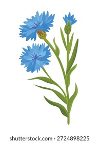 Flor de córnea. Clipart de vetor plano, ilustração com plano de fundo isolado.