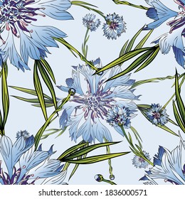 Cornflower flower. Garden, meadow plant cornflower. Seamless vector pattern with flowers.