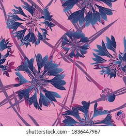 Cornflower flower. Garden, meadow plant cornflower. Seamless vector pattern with flowers. Hand drawing.