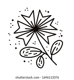 Cornflower flower. Plants and botanical illustrations. Simple vector illustration.
