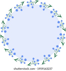 Cornflower flowers in a round frame. Spring and summer time. Blooming flowers.
