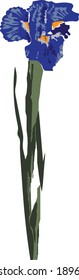 Flor de maíz verde