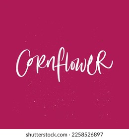CORNFLOWER. hand lettering flower name
