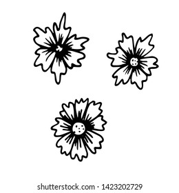 Cornflower icons set in hand drawn style. Vector illustration