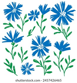 Cornflower. Meadow flowers set. Hand drawn floral elements, botanical illustration.Vector illustration
