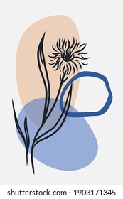 Cornflower minimal poster. Hand drawn line black knapweed flowers and leaves with abstract shape. Herbal and meadow plant collection, modern wall art floral decor. Vector botanical illustration