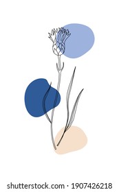 Afiche mínimo de Cornflower. Flores de nuez negra dibujadas a mano y hojas con forma abstracta. Colección de plantas herbales y praderas, decoración floral de arte mural moderno. Ilustración botánica vectorial