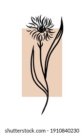 Cornflower minimal poster. Hand drawn line black knapweed flowers and leaves with abstract shape. Herbal and meadow plant collection, modern wall art floral decor. Vector botanical illustration