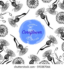 Cornflower vector design background for  for tea, natural cosmetics, baking, health care products, packaging, wrapping paper.