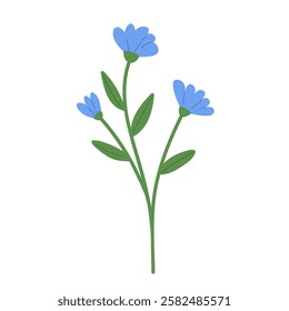 Cornflower vector illustration. Blossom blue flower in hand draw style