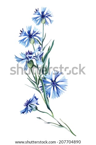 Similar – Image, Stock Photo Cornflower and bud, wet after a rain shower… Photographed through the window of a bus stop