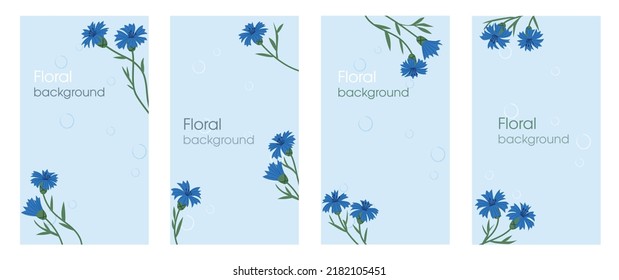 Cornflowers background template. Set of templates for cards, banners, posters, covers, or websites.  Flat illustration. Social media and stories and post background template with space for copy text.