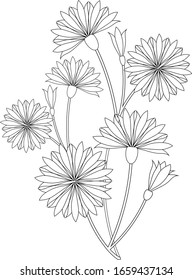 cornflowers. bouquet of flowers. stems. field flowers. black and white outline drawing by hand. coloring book for children and adults. vertical cover, print, clipart, postcard.