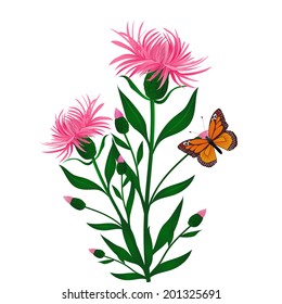 cornflowers flowers and butterfly on white background, vector