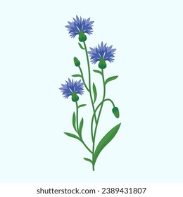 Cornflores aisladas de fondo azul. Ilustración vectorial en estilo plano.
