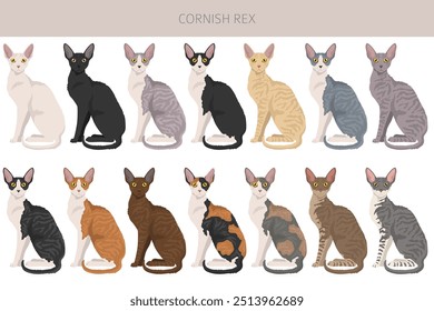 Cornish Rex Cat Clipart. Alle Fellfarben eingestellt.  Alle Katze Rassen Merkmale Infografik. Vektorgrafik