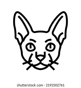 cornish rex cat cute pet line icon vector. cornish rex cat cute pet sign. isolated contour symbol black illustration