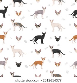 Cornish Rex Cat nahtloses Muster. Alle Fellfarben eingestellt.  Alle Katze Rassen Merkmale Infografik. Vektorgrafik