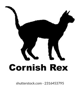 Cornisch Rex Katze Silhouette. Katzenrassen-Vektor. Haustier. Tier