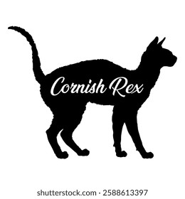 Cornish Rex cat silhouette, cat, cat breeds, logo, vector, silhouette,  animal, illustration, icon, sign, design, black, symbol, pet, love
