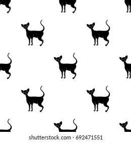 Cornish Rex icon in black style isolated on white background. Cat breeds symbol stock vector illustration.