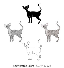 Cornish Rex icon in cartoon style isolated on white background. Cat breeds symbol stock vector illustration.