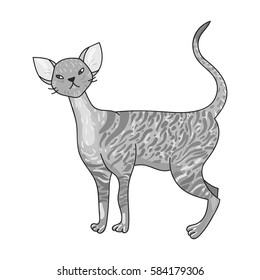 Cornish Rex icon in monochrome style isolated on white background. Cat breeds symbol stock vector illustration.